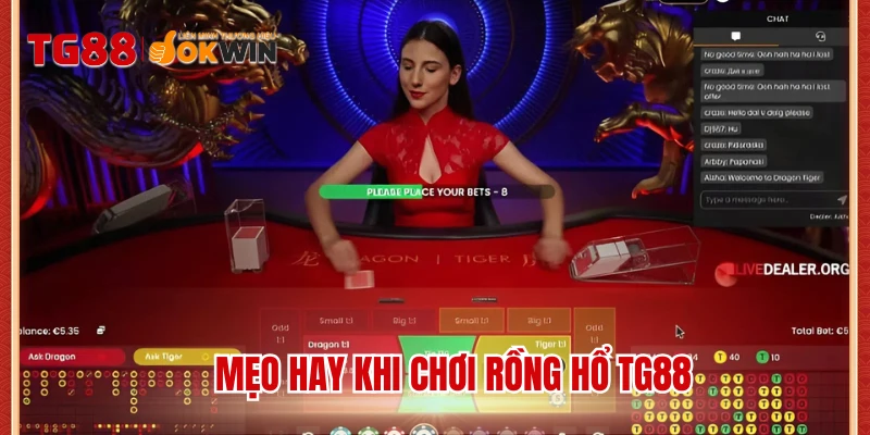 Mẹo hay khi chơi Rồng Hổ TG88