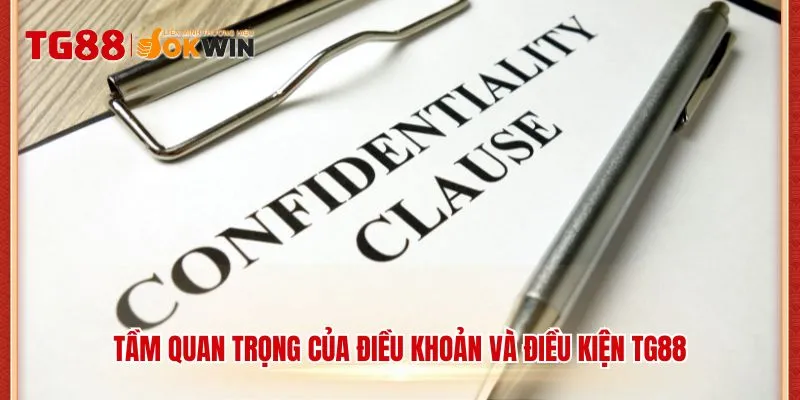 Tầm quan trọng của điều khoản và điều kiện TG88